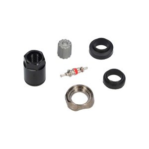 Universal TPMS Valve Repair Kit for Black Aluminum Valves