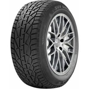 Riken Snow M+S 215/60 R17 96H