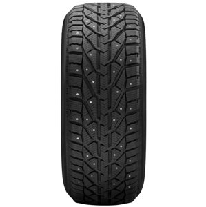 Taurus ICE 205/65 R15 99T