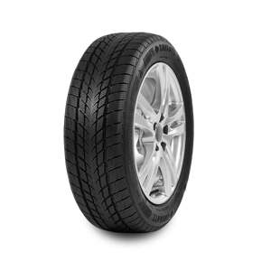 Davanti WINTOURA 195/65 R15 91T
