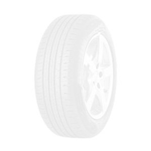 Ovation ECOVISION VI-386 HP 255/45 R20 105V