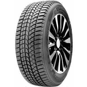 Doublestar WINTERKING DW02 245/40 R20 99T